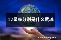 12星座分别是什么武魂