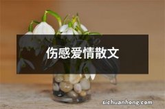 伤感爱情散文