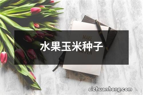 水果玉米种子
