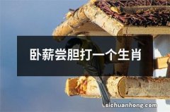 卧薪尝胆打一个生肖