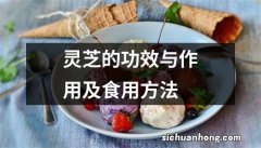 灵芝的功效与作用及食用方法