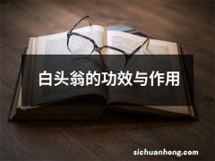 白头翁的功效与作用