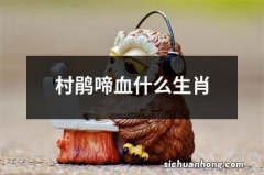 村鹃啼血什么生肖