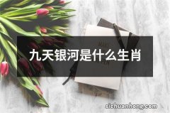 九天银河是什么生肖