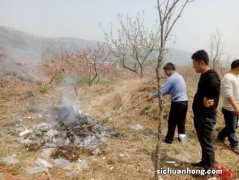 清明节第二天上坟 是可以的吗