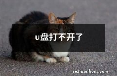 u盘打不开了