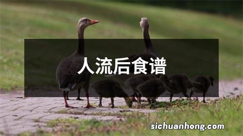 人流后食谱