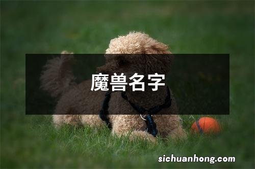 魔兽名字