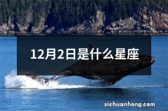 12月2日是什么星座