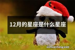 12月的星座是什么星座