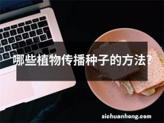 哪些植物传播种子的方法?