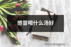 感冒喝什么汤好