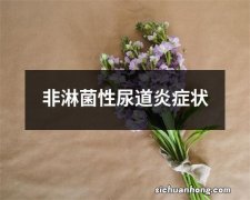 非淋菌性尿道炎症状