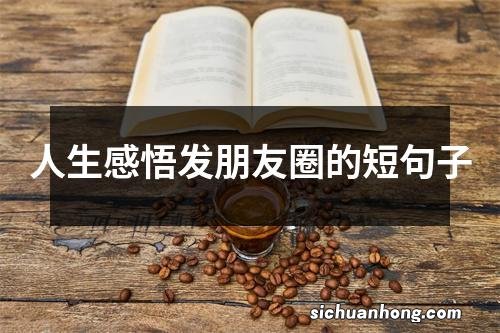 人生感悟发朋友圈的短句子