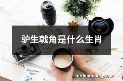 驴生戟角是什么生肖