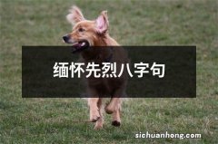 缅怀先烈八字句