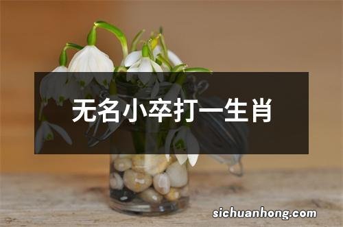 无名小卒打一生肖