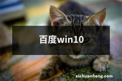 百度win10