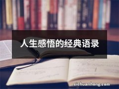 人生感悟的经典语录