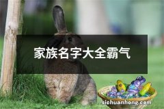 家族名字大全霸气