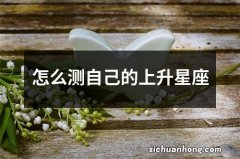 怎么测自己的上升星座