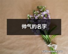 帅气的名字