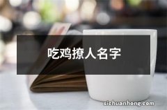 吃鸡撩人名字