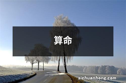 算命