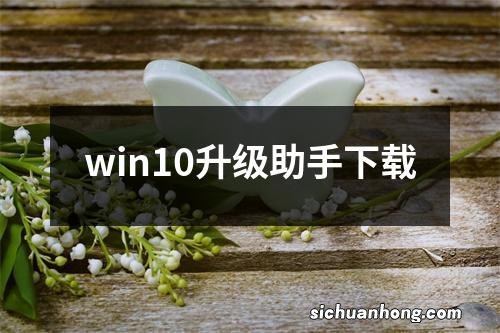 win10升级助手下载