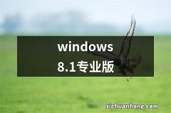 windows8.1专业版