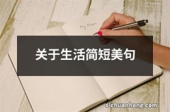 关于生活简短美句