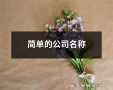 简单的公司名称