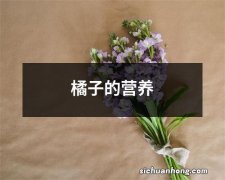 橘子的营养