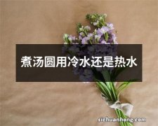 煮汤圆用冷水还是热水