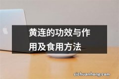 黄连的功效与作用及食用方法