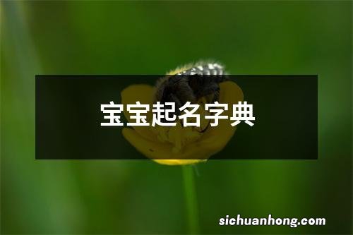 宝宝起名字典