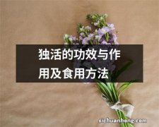 独活的功效与作用及食用方法