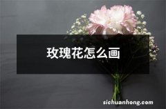 玫瑰花怎么画