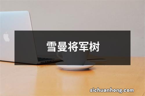 雪曼将军树