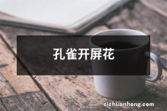 孔雀开屏花