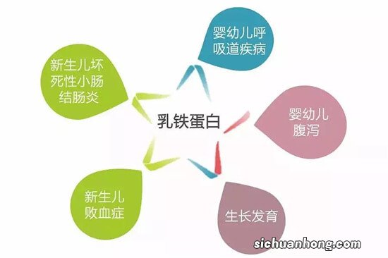 铁，是双刃剑，过犹不及。你知道自己的铁摄入情况吗？