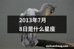 2013年7月8日是什么星座