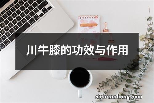 川牛膝的功效与作用