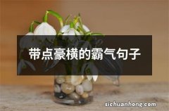 带点豪横的霸气句子