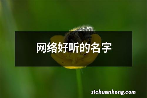 网络好听的名字