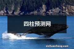 四柱预测网