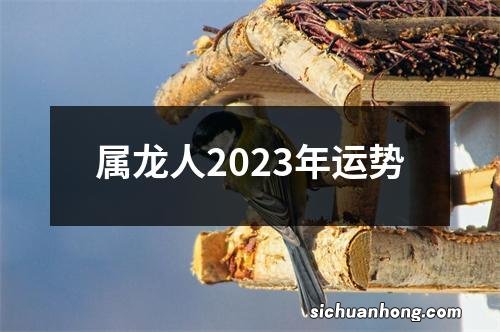 属龙人2023年运势