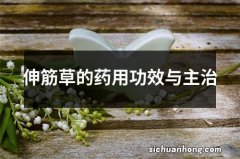 伸筋草的药用功效与主治