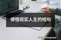 感悟现实人生的短句