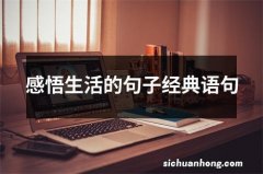 感悟生活的句子经典语句